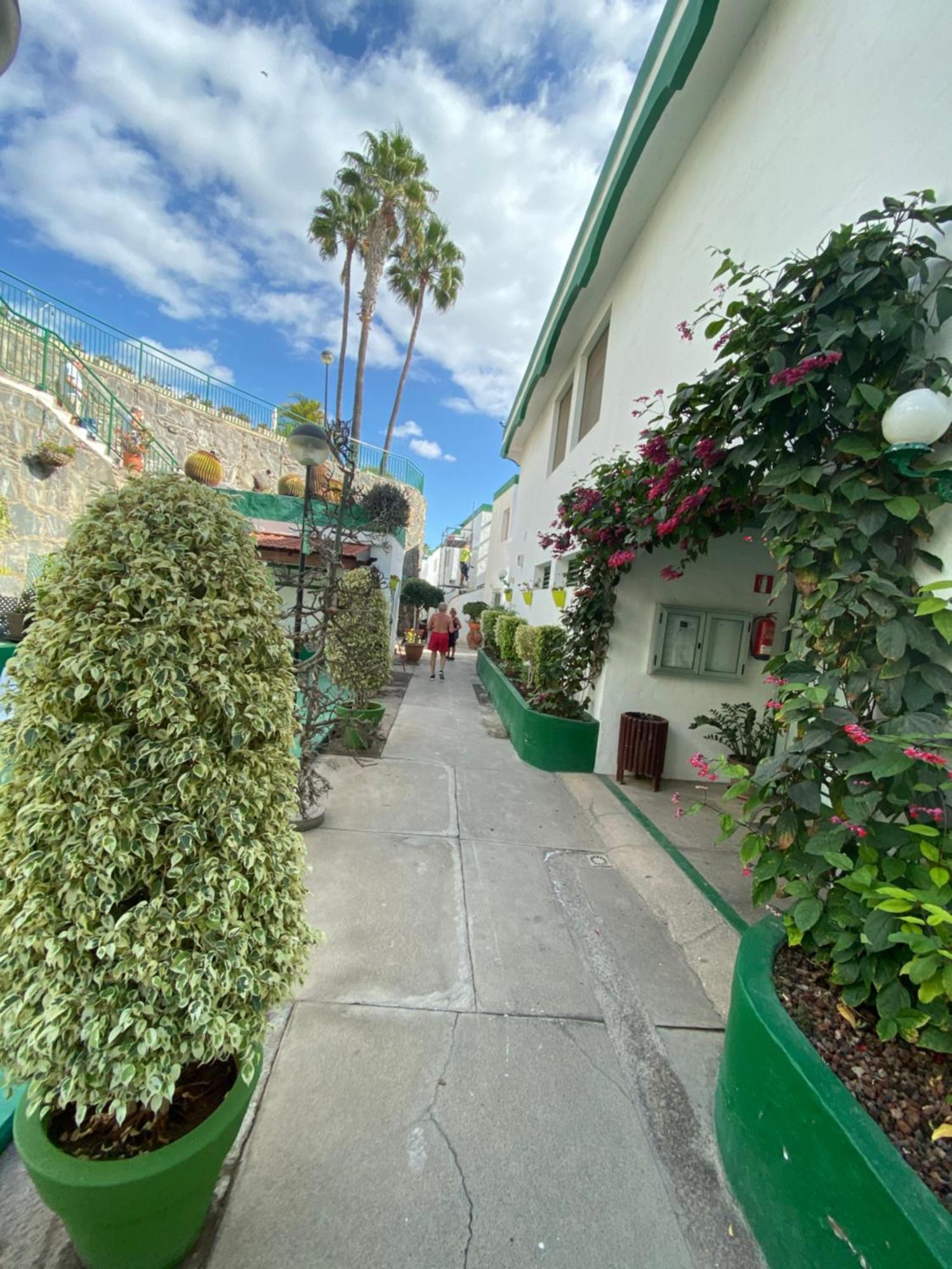 Sea View 2Br Toploctaion Heated Pool 5 Min To Beach San Agustin  Exterior photo